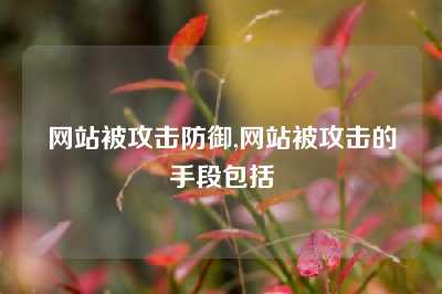 网站被攻击防御,网站被攻击的手段包括