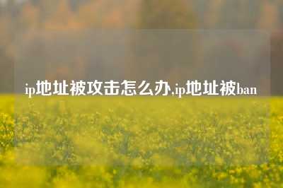 ip地址被攻击怎么办,ip地址被ban