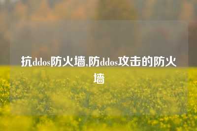 抗ddos防火墙,防ddos攻击的防火墙