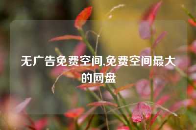 无广告免费空间,免费空间最大的网盘