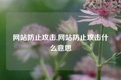 网站防止攻击,网站防止攻击什么意思