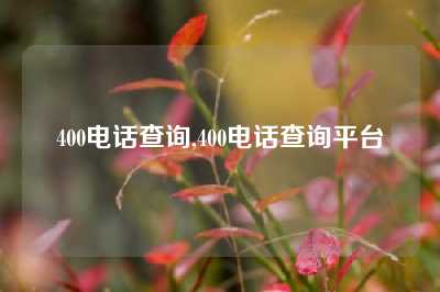 400电话查询,400电话查询平台