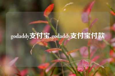 godaddy支付宝,godaddy支付宝付款