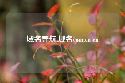 域名导航,域名com.cn cn