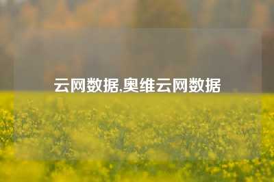 云网数据,奥维云网数据