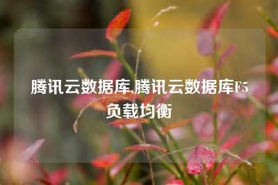 腾讯云数据库,腾讯云数据库F5负载均衡
