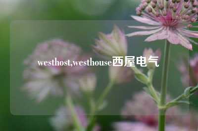 westhost,westhouse西屋电气