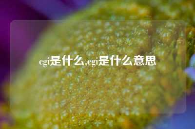 cgi是什么,cgi是什么意思