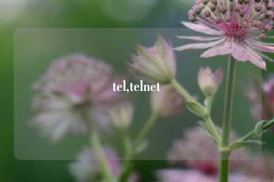 tel,telnet