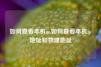 如何查看本机ip,如何查看本机ip地址和物理地址