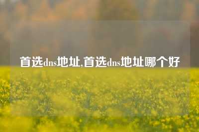 首选dns地址,首选dns地址哪个好
