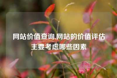 网站价值查询,网站的价值评估主要考虑哪些因素