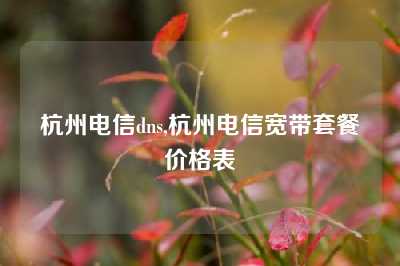 杭州电信dns,杭州电信宽带套餐价格表