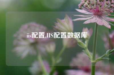 iis配置,IIS配置数据库