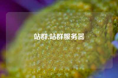 站群,站群服务器