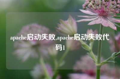 apache启动失败,apache启动失败代码1