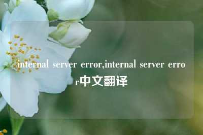 internal server error,internal server error中文翻译