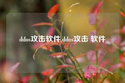 ddos攻击软件,ddos攻击 软件