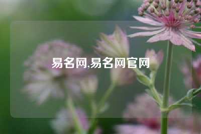易名网,易名网官网