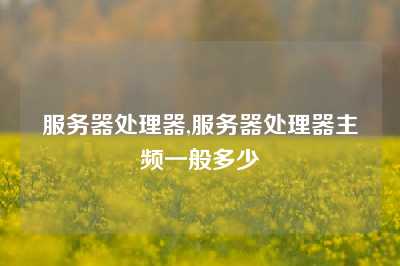 服务器处理器,服务器处理器主频一般多少