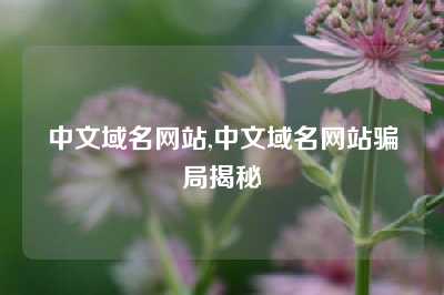 中文域名网站,中文域名网站骗局揭秘