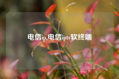 电信ip,电信iptv软终端