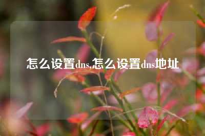 怎么设置dns,怎么设置dns地址