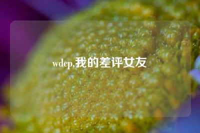 wdcp,我的差评女友