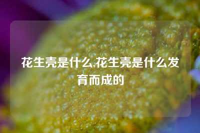 花生壳是什么,花生壳是什么发育而成的