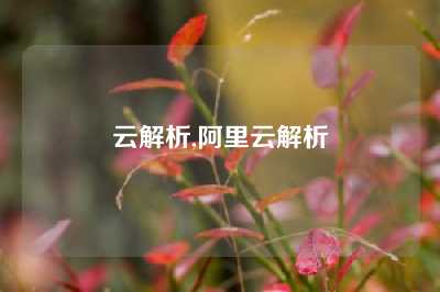 云解析,阿里云解析
