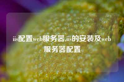 iis配置web服务器,iis的安装及web服务器配置