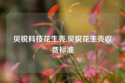 贝锐科技花生壳,贝锐花生壳收费标准