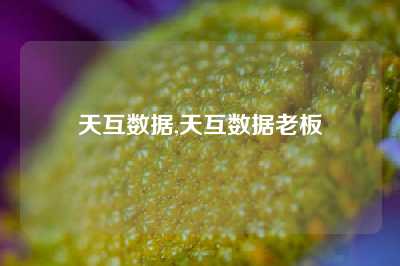 天互数据,天互数据老板