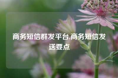 商务短信群发平台,商务短信发送要点