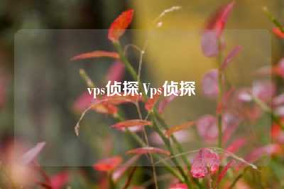 vps侦探,Vps侦探