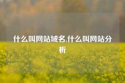 什么叫网站域名,什么叫网站分析
