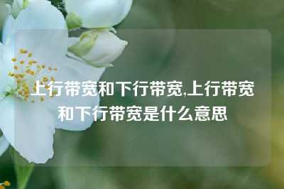 上行带宽和下行带宽,上行带宽和下行带宽是什么意思