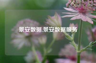 景安数据,景安数据服务