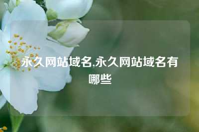 永久网站域名,永久网站域名有哪些