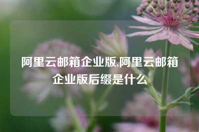 阿里云邮箱企业版,阿里云邮箱企业版后缀是什么