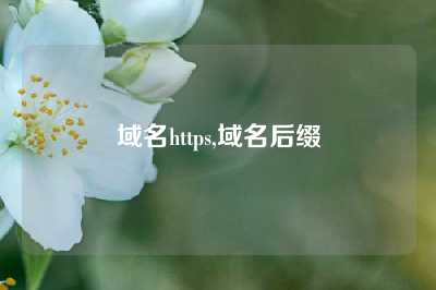 域名https,域名后缀