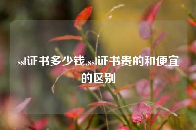 ssl证书多少钱,ssl证书贵的和便宜的区别