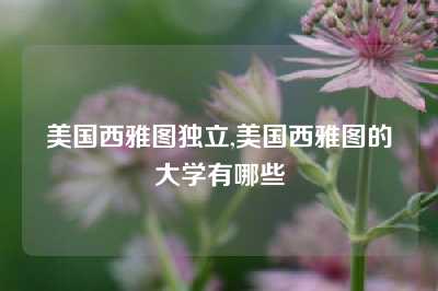 美国西雅图独立,美国西雅图的大学有哪些