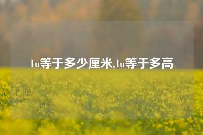 1u等于多少厘米,1u等于多高