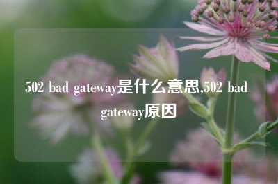 502 bad gateway是什么意思,502 bad gateway原因
