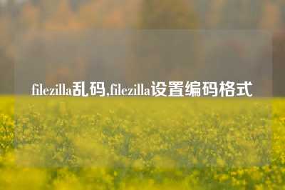 filezilla乱码,filezilla设置编码格式