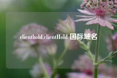 clienthold,clientHold 国际域名