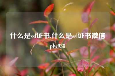 什么是ssl证书,什么是ssl证书徽信plw938