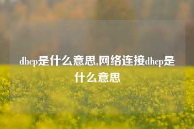 dhcp是什么意思,网络连接dhcp是什么意思