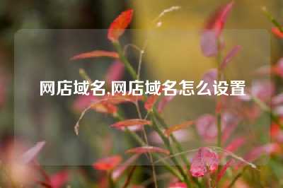 网店域名,网店域名怎么设置